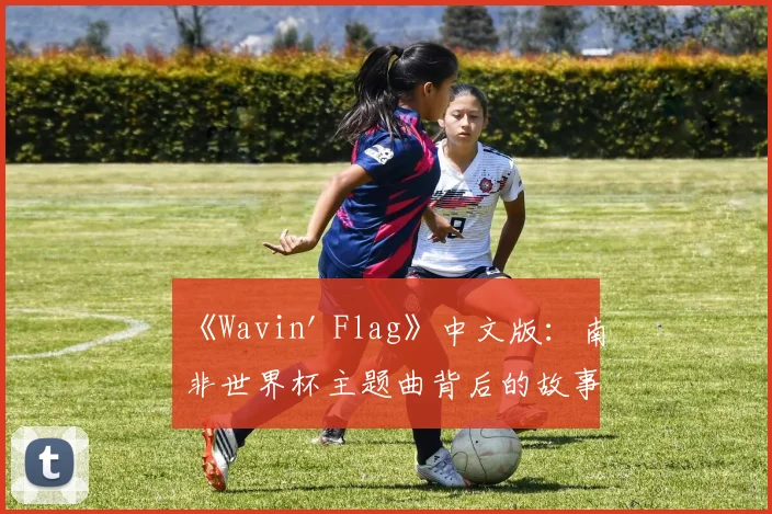 《Wavin' Flag》中文版：南非世界杯主题曲背后的故事