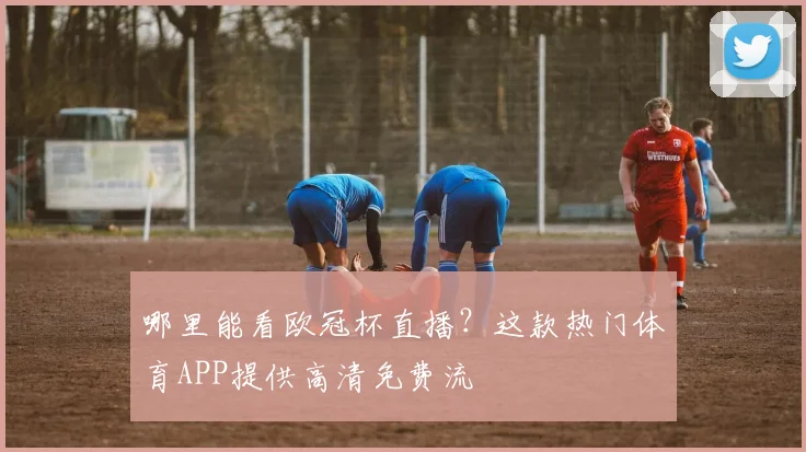 哪里能看欧冠杯直播?这款热门体育APP提供高清免费流