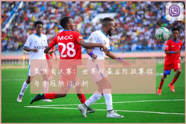 聚焦淘汰赛：世界杯最后阶段赛程与夺冠热门分析