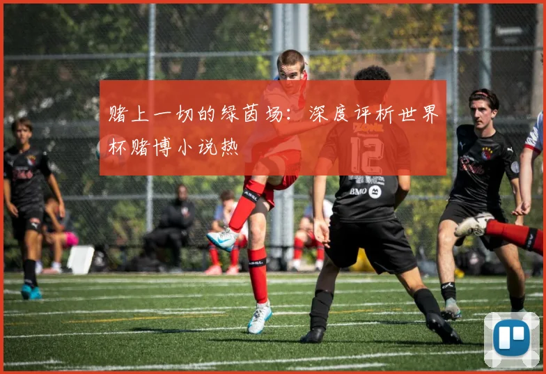 赌上一切的绿茵场:深度评析世界杯赌博小说热