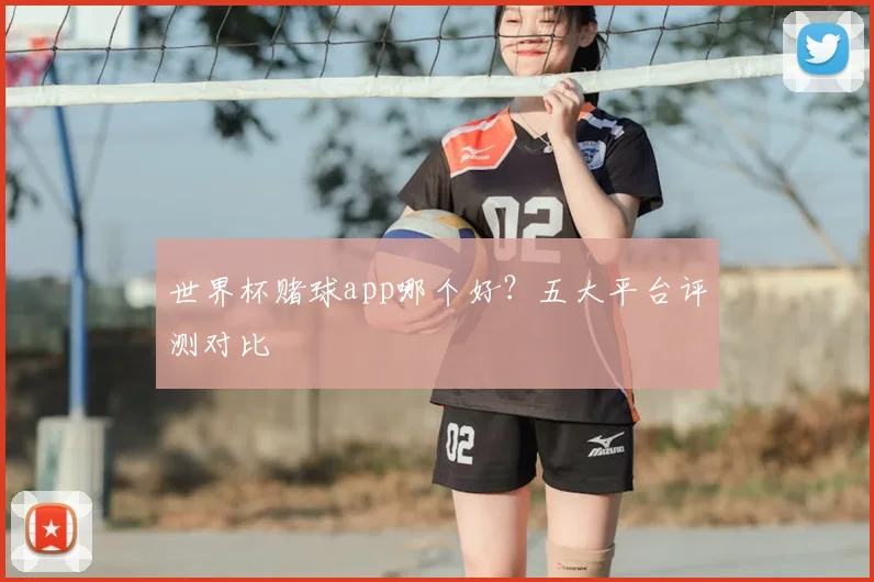 世界杯赌球app哪个好？五大平台评测对比