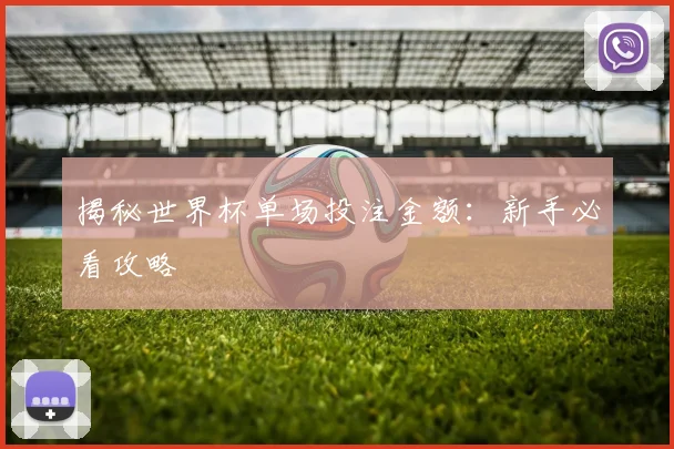 揭秘世界杯单场投注金额:新手必看攻略
