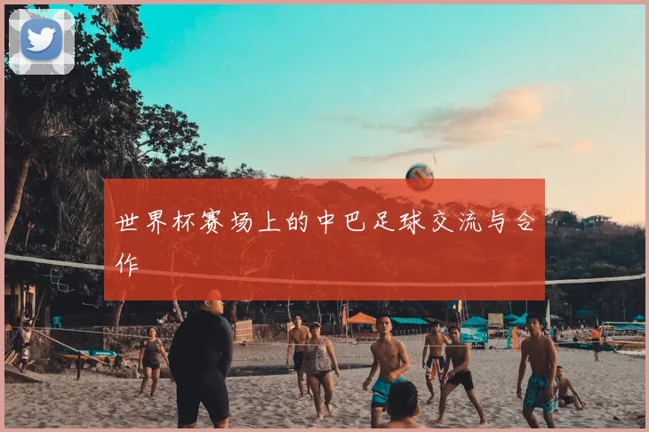 世界杯赛场上的中巴足球交流与合作