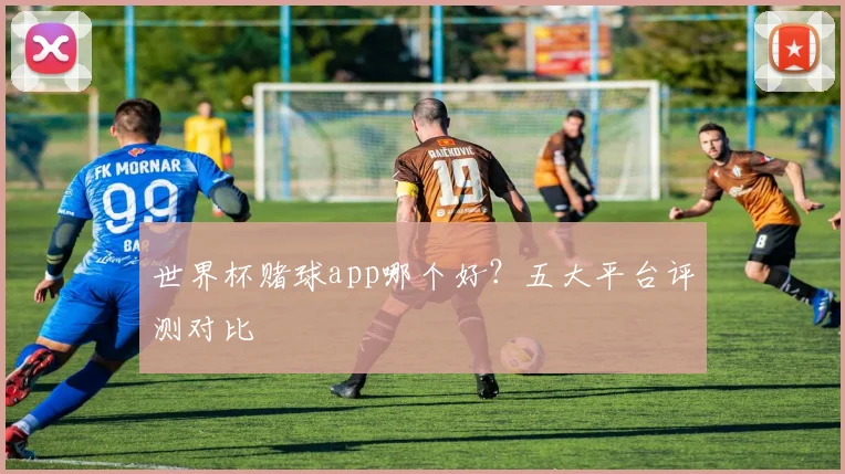 世界杯赌球app哪个好？五大平台评测对比