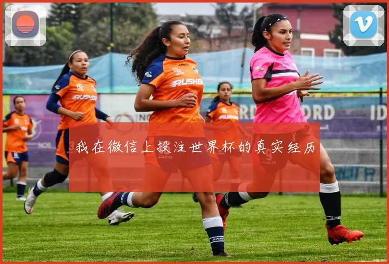 我在微信上投注世界杯的真实经历