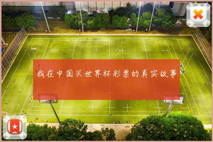 我在中国买世界杯彩票的真实故事