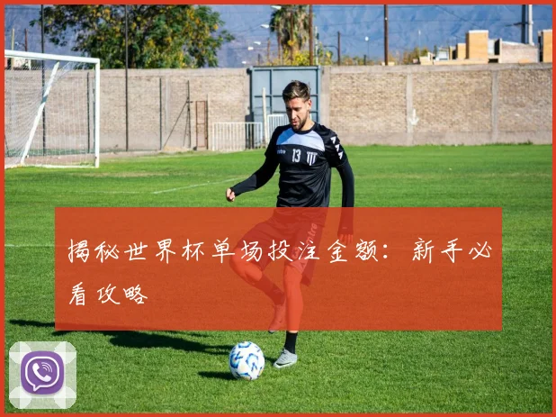 揭秘世界杯单场投注金额:新手必看攻略