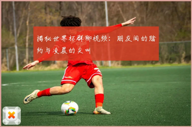 揭秘世界杯群聊视频：朋友间的赌约与凌晨的尖叫